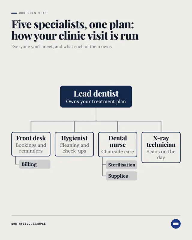 Org chart — sample creative