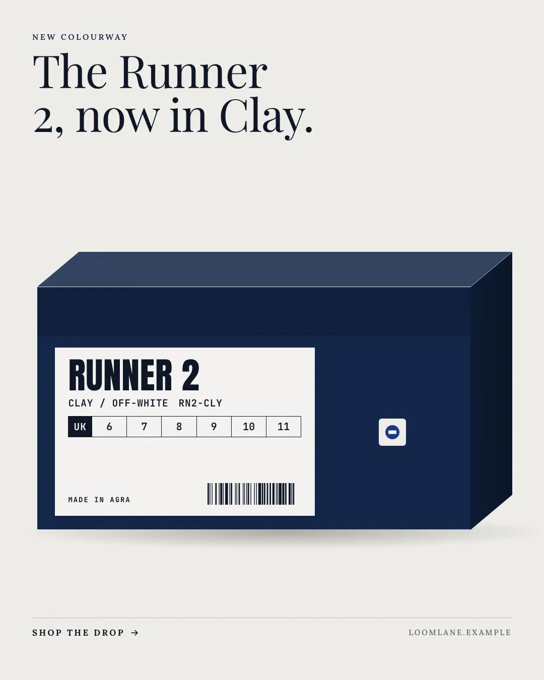 Sample Shoe-box label creative (Looks & fits template), shown on the fictional brand Loomlane
