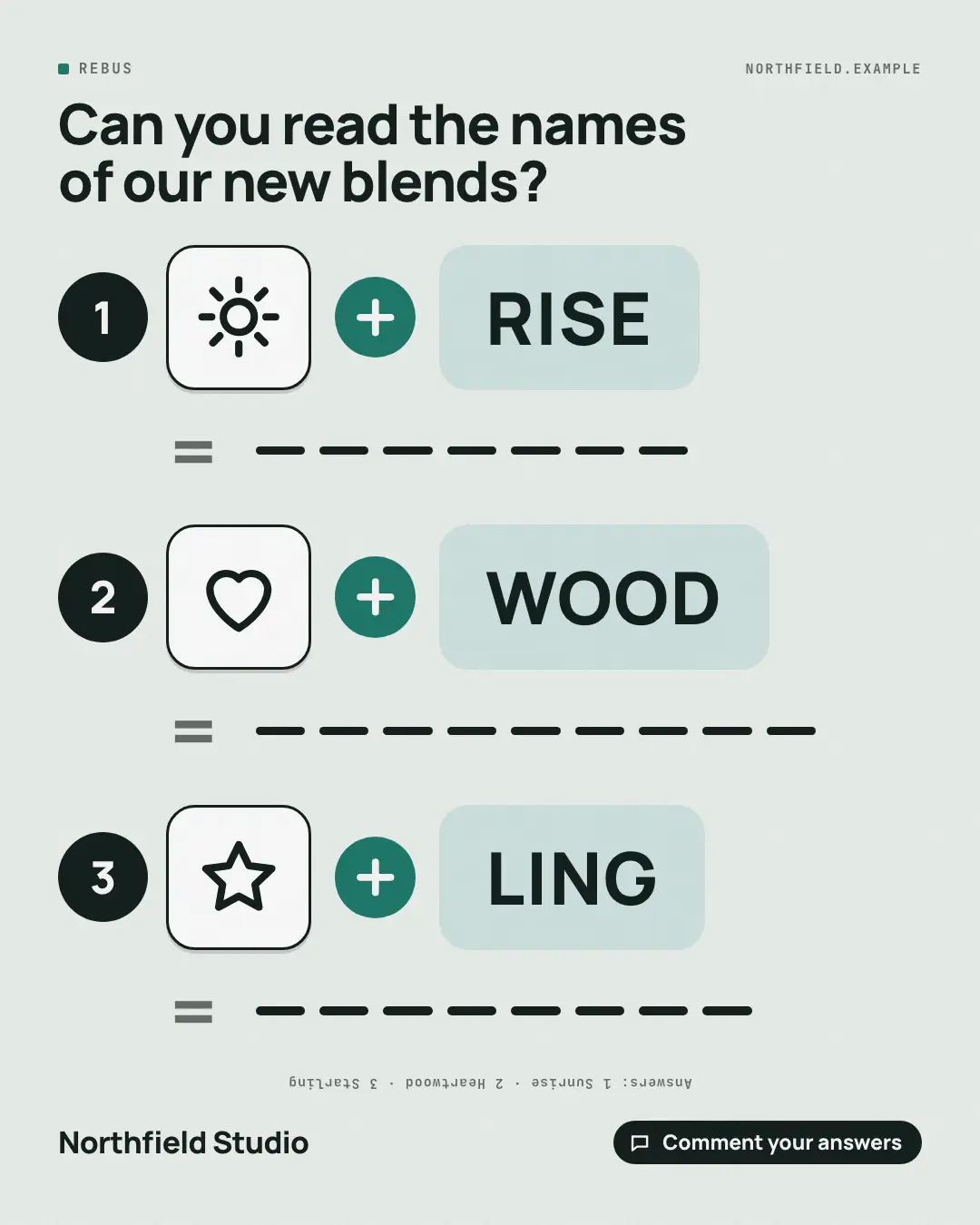 Sample Rebus creative (Puzzles & brain-teasers template), shown on the fictional brand Northfield Studio