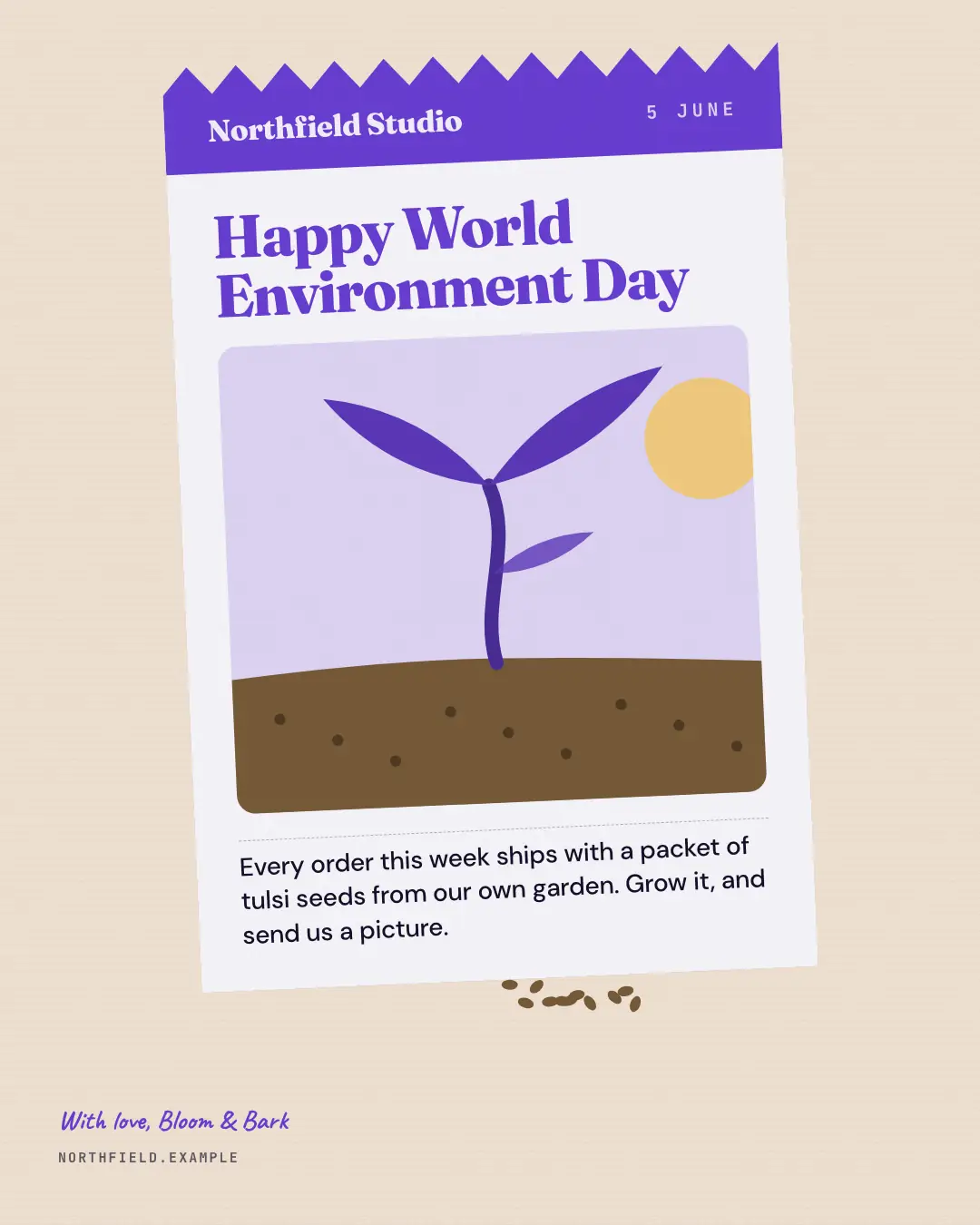 Sample World Environment Day seed packet creative (Festivals & occasions template), shown on the fictional brand Northfield Studio