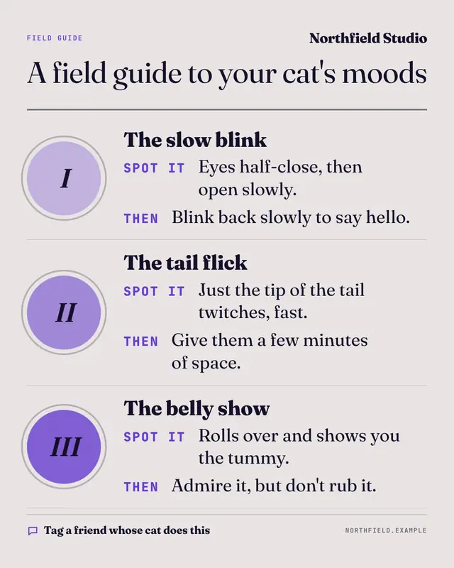 Field guide — sample creative